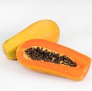 C_papaya.jpg